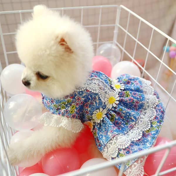 Vestuário de vestuário de cachorro vestidos de animais de estimação de cães para cães saia de renda de cães pequena garota de cachorro chihuahua pug primavera
