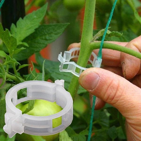 

50pcs/pack garden plant flower fruits pot vine tomato stem clips supports connect trellis twine cages flowers pots planters &