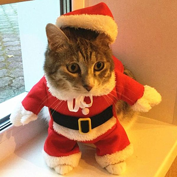 

cat costumes christmas funny santa claus clothes for small cats dogs xmas year pet clothing winter kitty kitten
