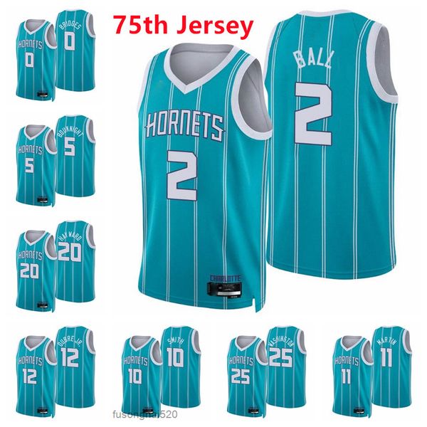 

custom printed charlottehornetsmen lamelo ball james bouknight gordon hayward kelly oubre jr. miles bridges p. j. washington 2021/22 75th di, Black