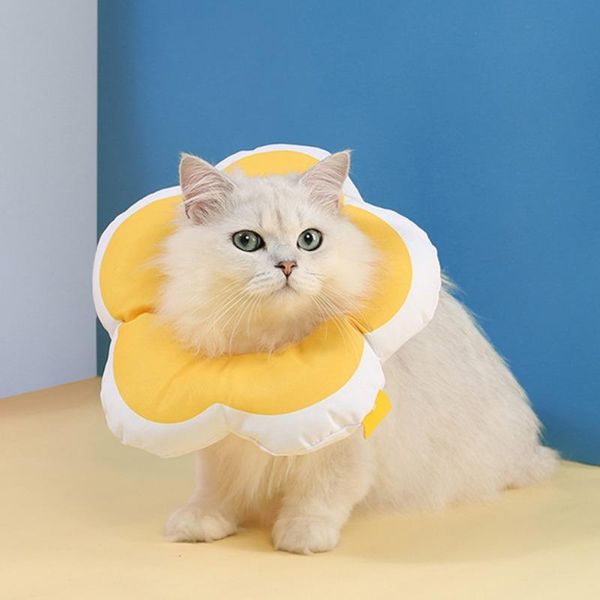 

cat collars & leads flower shape elizabethan collar cotton pet cone protection and dog waterproof