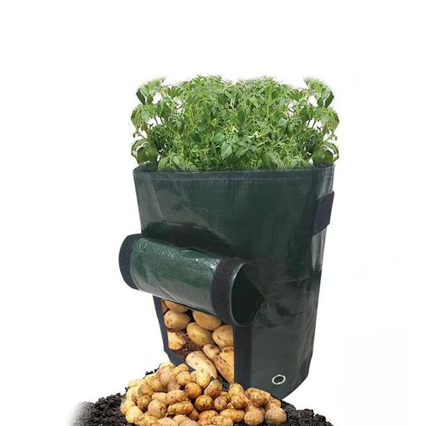 

planters & pots beauty bag suitable for ginger vegetable fruit tomato window design potato carrot fruits 30*35cm bags