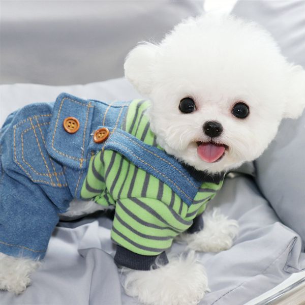 

autumn pet teddy bear bomei chenery vip yorkshire four legged milk dog small cloth