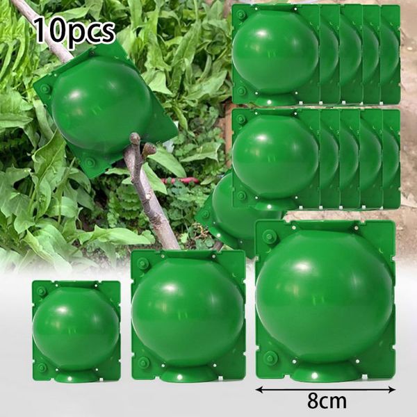 

other garden supplies 10pcs plant rooting equipment high pressure propagation ball graft box 5cm/8cm outdoor care & accessories