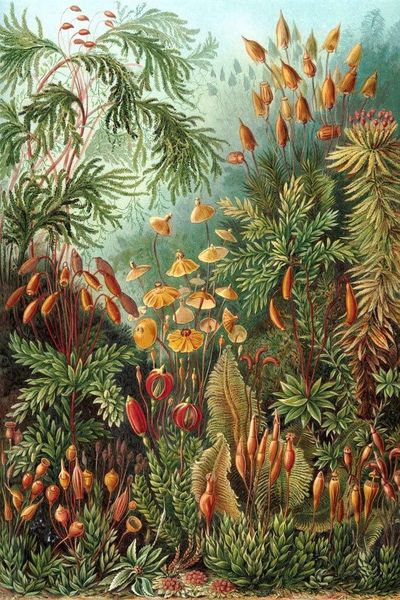 

paintings oil on canvas wall decoration for home office
