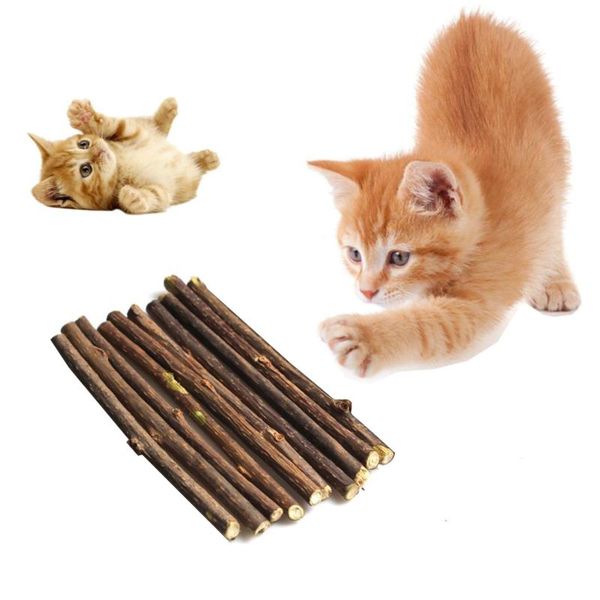 

10&20pcs natural catnip pet cat molar toothpaste stick matatabi actinidia fruit silvervine sticks cleaning teeth toys
