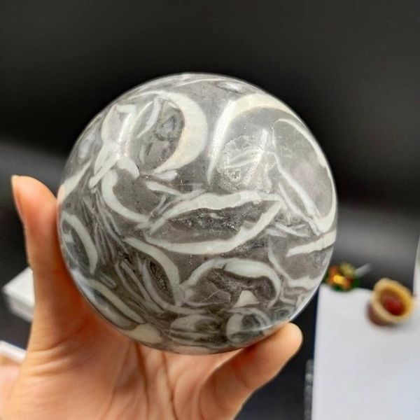 

500g-700g natural polished shell jasper furniture crystal ball decorative objects & figurines