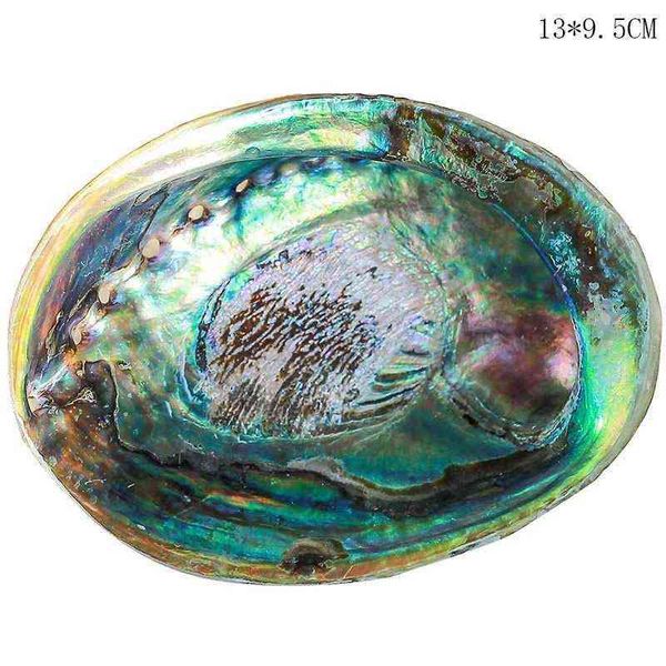 12-14CM Conchiglie di abalone naturale lucido Conchiglia Paesaggio domestico Decorazione acquario Portasapone artigianale fatto a mano 211119