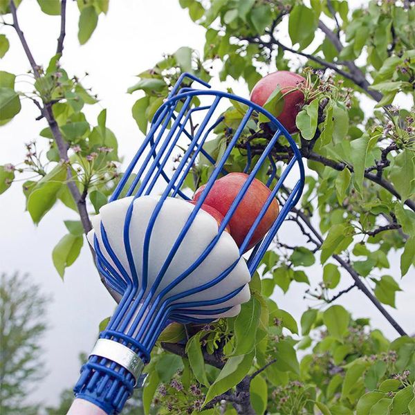 

planters & pots farm garden tools deep basket fruit picker head convenient catcher apple peach picking device