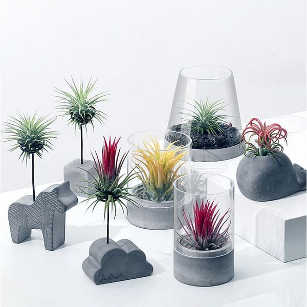 

planters & pots air plant potted decor bonsai empty phoenix fairy flower pot cement base stand soilless ornament for garden
