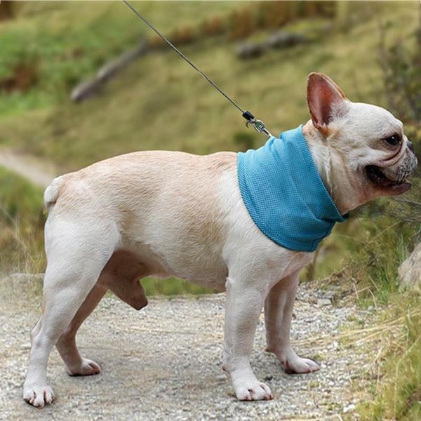 

dog apparel pet summer cooling scarf ventilation soft lithe three sizes optional breathable instant bandana accessories