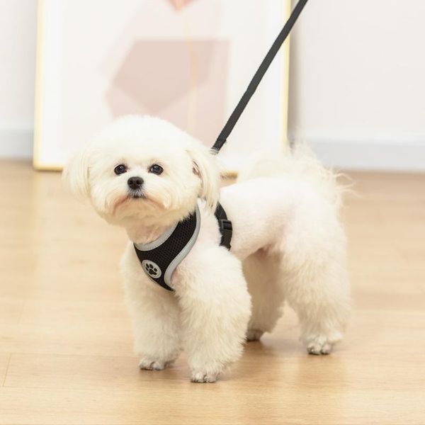 

dog collars & leashes small harness and leash set reflective nylon pet kitten yorkie collar for chihuahua walking lead pets acessorios
