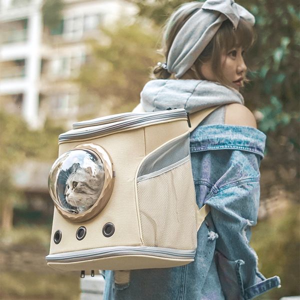 

large out double shoulder space capsule pet carrying schoolbag dog backpack cat bag summer ventilation