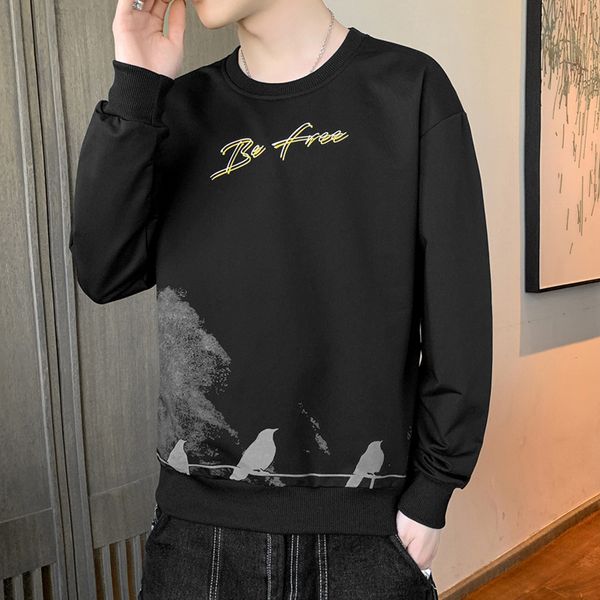 

mens sweater spring and autumn new 2021 long sleeve t-shirt men's round neck loose bottomed shirt clothing trend sweater, Black