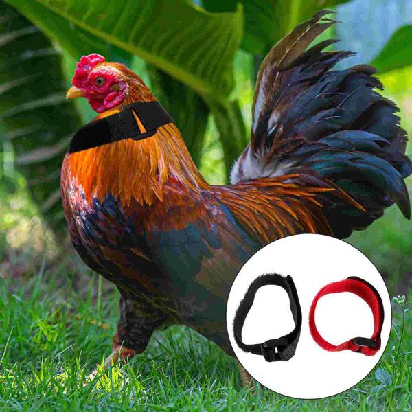 

yoga outfit 4pcs poultry anti-crowing tool safe rooster collar collars