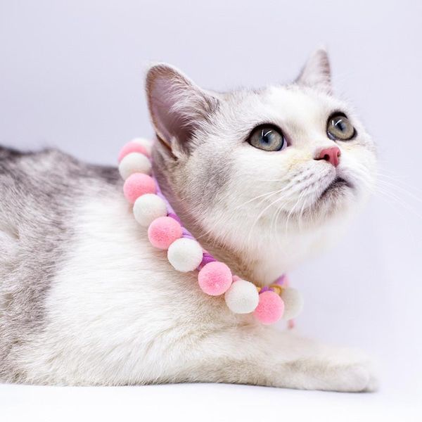 

cute cat collar kitten necklace pet hair ball handmake decoration accessories for teddy supplies dog collars & leashes