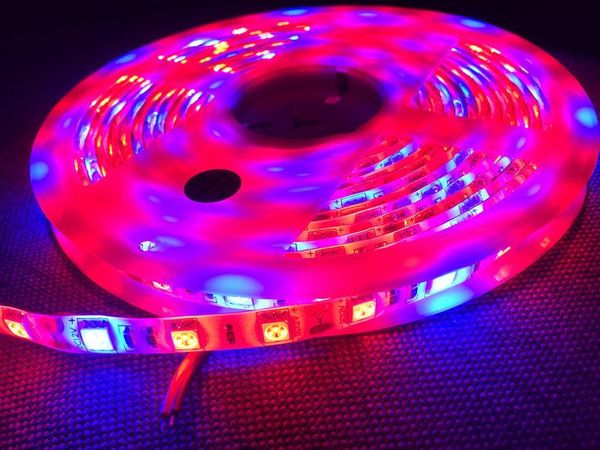 

strips 10reels/lot 12v 5m 300leds smd led strip light plant grow ip65 waterproof aquarium hydroponic flower fill lamp red:blue=3:1