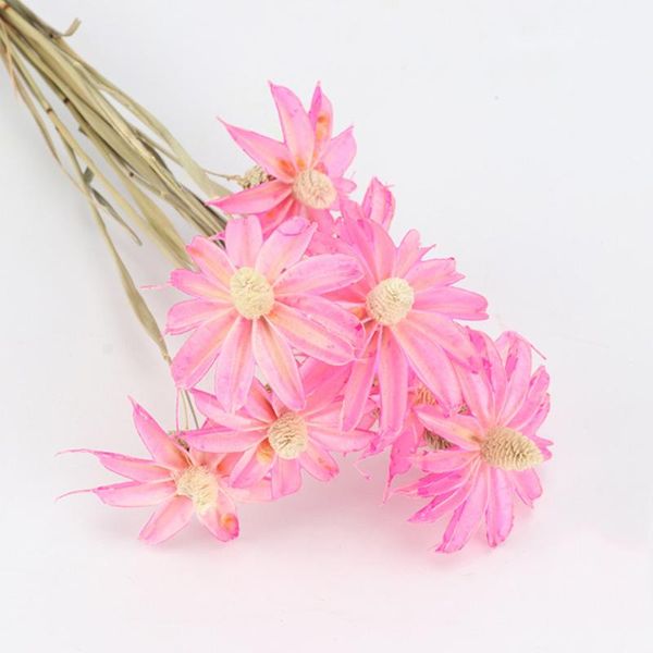 

party decoration 12 pcs natural flower violet bundle preserved diy wedding