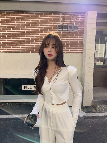 

dress knitted shirt + casual broad-legged trousers, two-piece woman, Black;gray