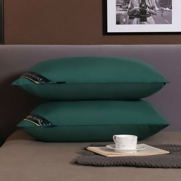 (Apenas 1 pcs travesseiro) hotel cinco estrelas travesseiro especial núcleo adulto estudante Único travesseiro proteção de pescoço travesseiro F8072 210420