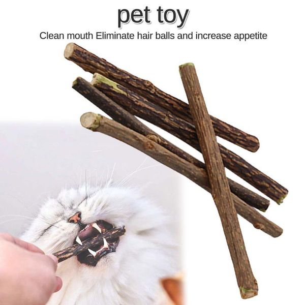 

10pcs natural catnip pet cat molar toothpaste stick matatabi actinidia fruit silvervine sticks cleaning teeth toys