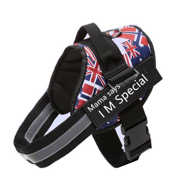 

dog collars & leashes customized vest adjustable harness pet stretchable traction leash custom rope chest strap collar accessories