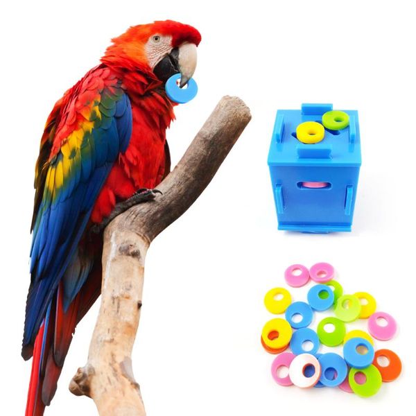 

other bird supplies pets birds puzzle toy parrot coin box training playing for parakeet intelligence toys pet