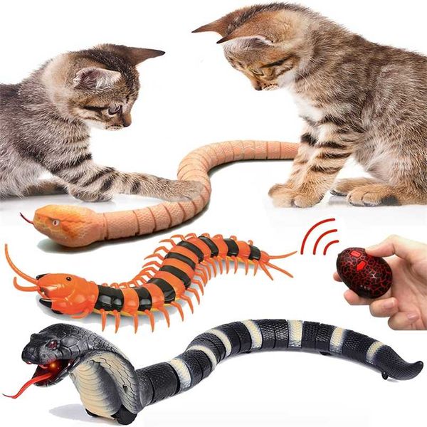 RC Remote Control Snake Brinquedo para Gato Gatinho Controlador em forma de Egg Rattlesnake Interactive Snake Cat Teaser Jogo Toy Game Pet Kid 211122