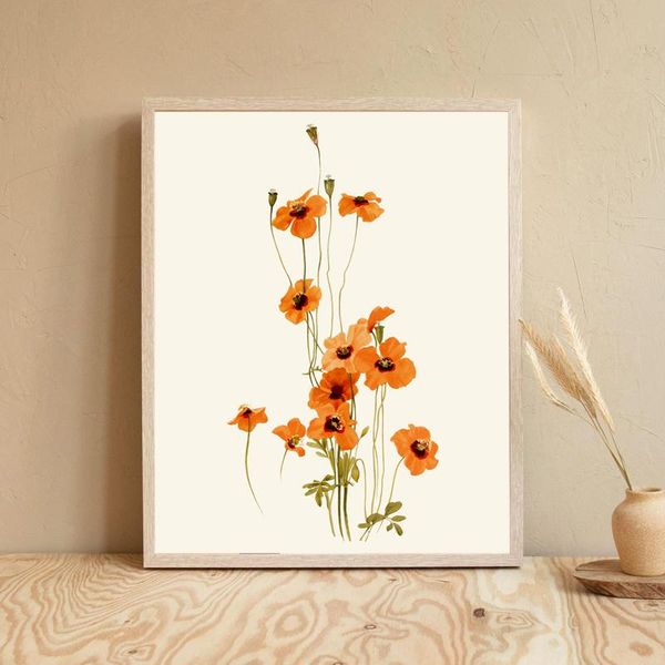 

paintings orange poppy flowers canvas painting poster and print picture vintage illustration botanical wall art for living room home decor