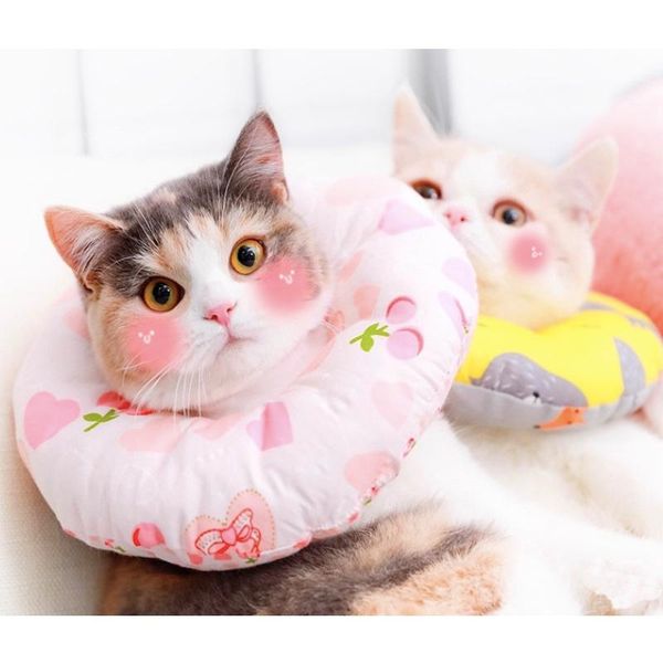 

cat collars & leads lovely cartoon anti bite grasping licking neck elizabethan collar cute puppy protective circle