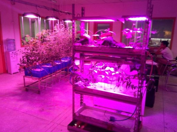 

panel lights 47w led grow light for tissue culture plantlets plt-iii the plant factory hydroponics system vegetables flowers fruits...