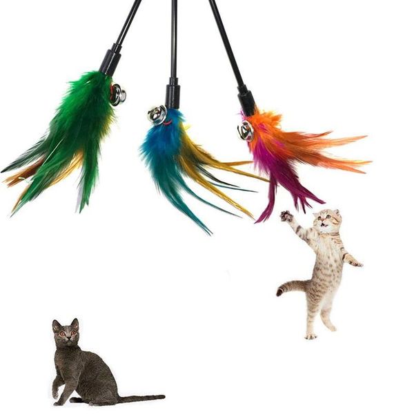 

cat toys 1pc pet multicolor tease playing bell ring ly desigh bird feather