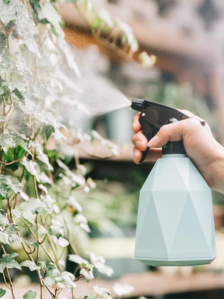 

watering equipments the garden with can special for disinfection and cleaning of