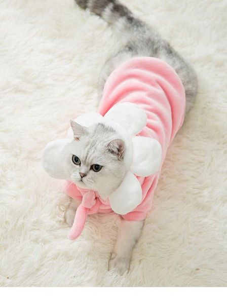 

dog apparel pet clothes cat thickened winter warm funny