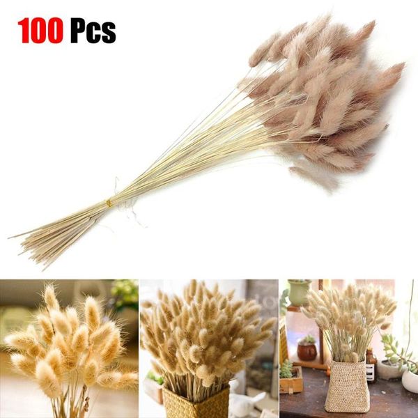 

decorative flowers & wreaths 100pcs naturally decorated of natural dog tail grass dried bouquet for wedding flower home decoration 2021