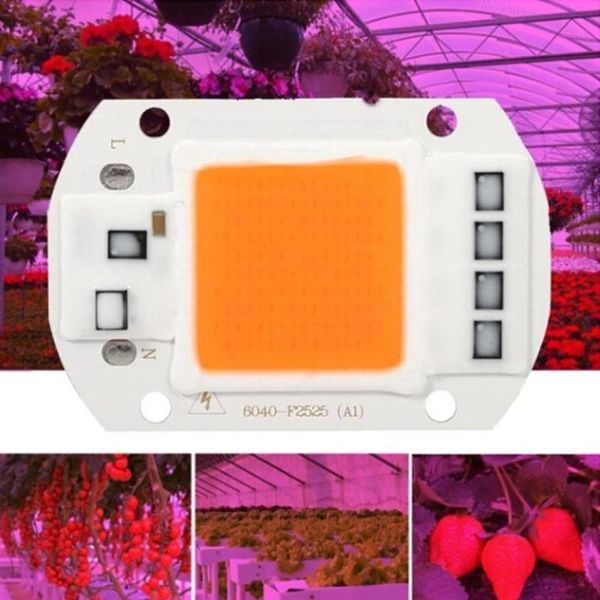 

grow lights led cob chip phyto lamp full spectrum ac110v 220v 20w 30w 50w for indoor plant seedling and flower growth