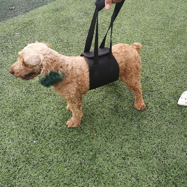 

dog apparel assist with disabled dogs elderly pet supplies