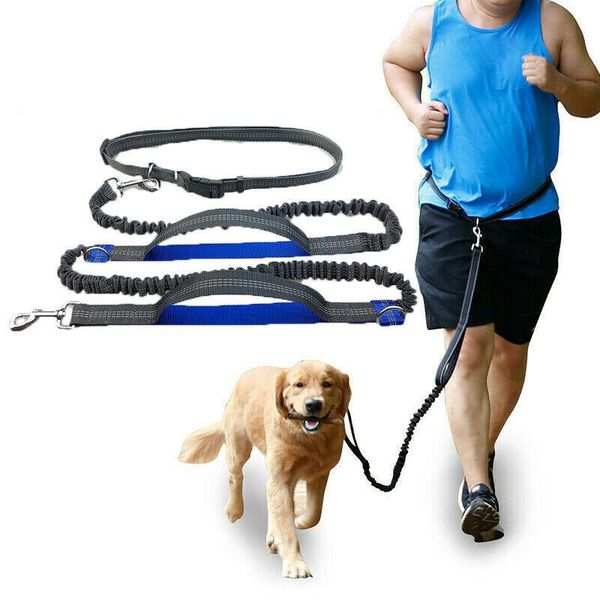 

dog collars & leashes reflective retractable sports running traction rope puppy cat leash belt for small medium dogs pet products