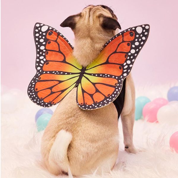 

cat costumes 1pc creative butterfly design pet cosplay costume funny dress up christmas