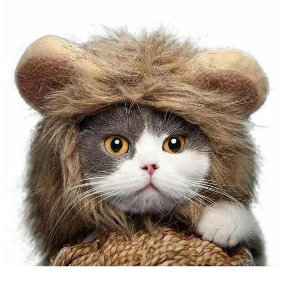 

cat costumes 2021 dog head wear pet hat cover cute party dress up cartoon animal shaped home fashion cosplay christmas funny soft