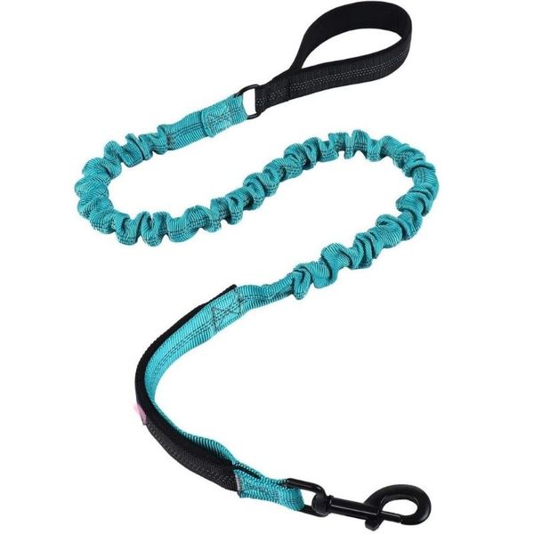 

elastic bungee dog leash 2 handles quick release pet reflective traction rope outdoor walking jogging training leads collars & leashes