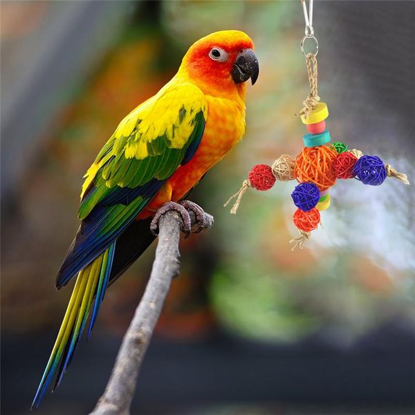 

other bird supplies 2021 cute pet parrot toys funny rattan birds swing ball toy string christmas hanging climbing decorations for cage