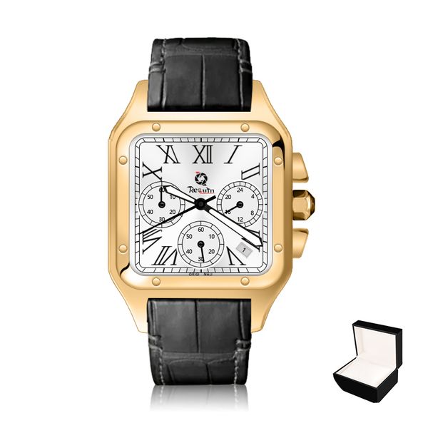 

men's automatic mechanical watch requin santo gold stainless steel case leather strap w2sa six-hand calendar sapphire dial fashion casu, Slivery;brown