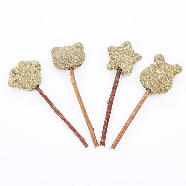 

cat toys different shape promote digestion mint lollipop catnip in stock pet products