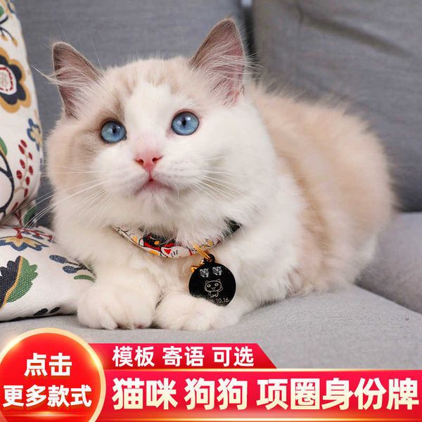 

factory cat dog bell necklace id pet tag double sided lettering cloth cat collar