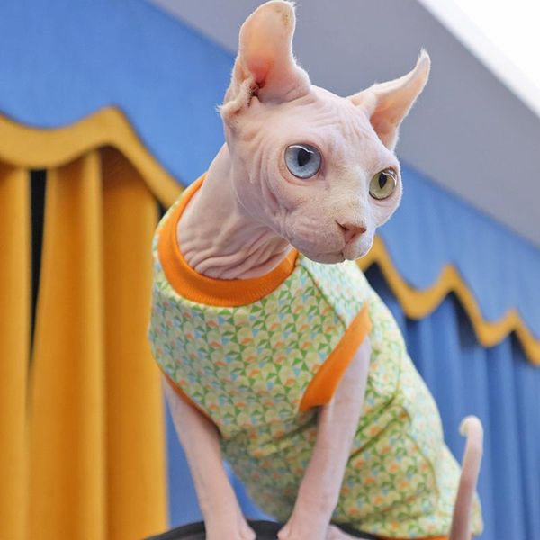 

cat costumes sphinx hairless clothes 100% cotton deven kitty anti-allergy