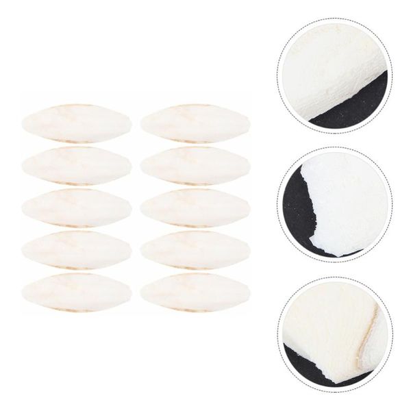 

other bird supplies 10 pcs parrot chew toys cuttlebone molar teeth grinding