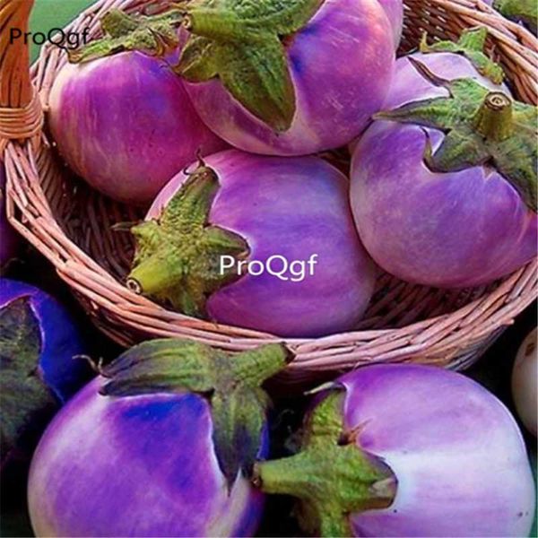 

prodgf 6000pcs a set solanum melongena eggplant party favor