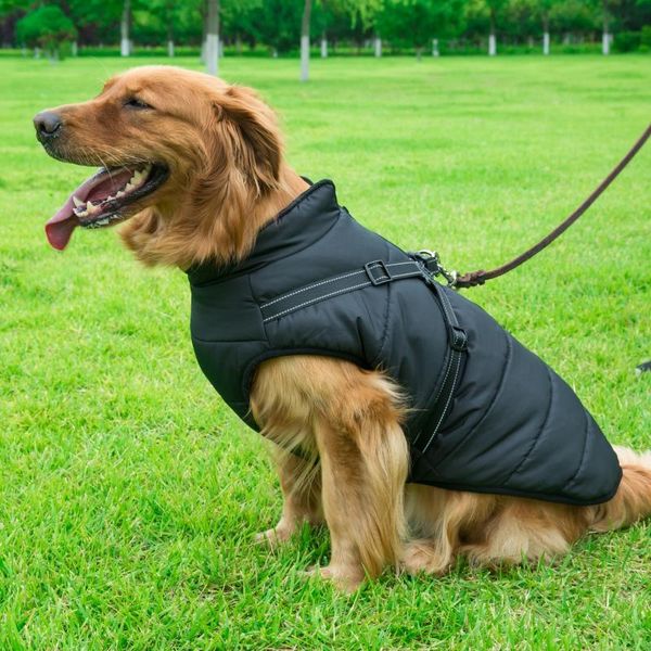 

dog apparel pet skiing costume rainproof warm sleeveless cotton padded vest with durable chest strap harness accessories