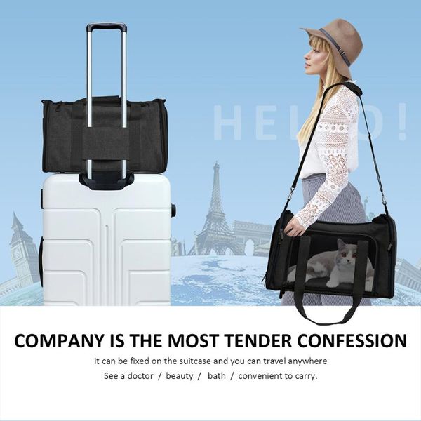 

dog car seat covers pet backpack messenger carrier bags cat outgoing travel bag soft side breathable mesh airplane approved